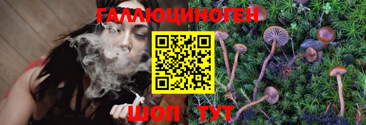 Дедовск  Галлюциногенные грибы Psilocybe  Галлюциногенные грибы Magic Shrooms  Вход с VPN 